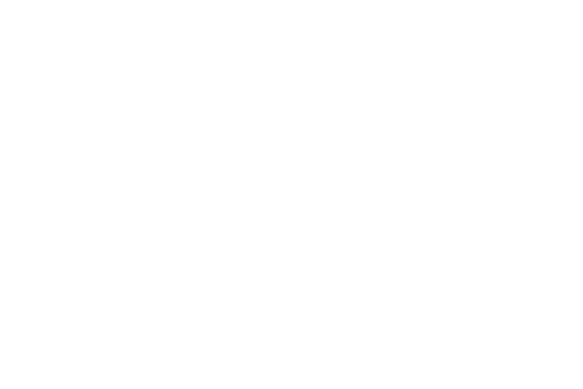 Magellium